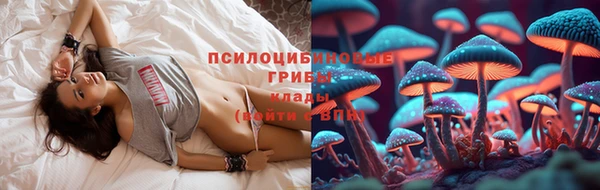 2c-b Кинешма