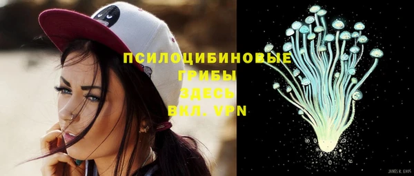 мдпв Киренск