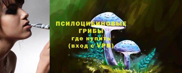 2c-b Кинешма
