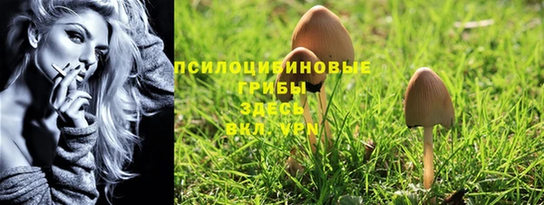 тгк Киреевск
