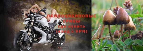 тгк Киреевск