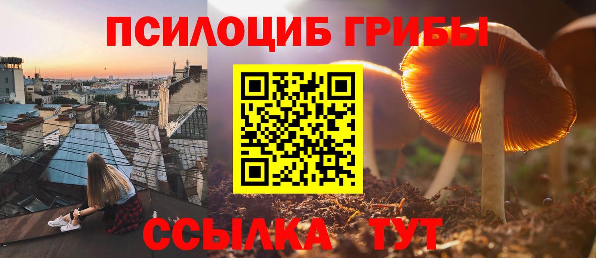 Галлюциногенные грибы прущие грибы Магнитогорск